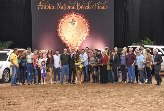 THE 2015 ARABIAN NATIONAL BREEDER FINALS