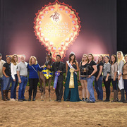 THE 2015 ARABIAN NATIONAL BREEDER FINALS