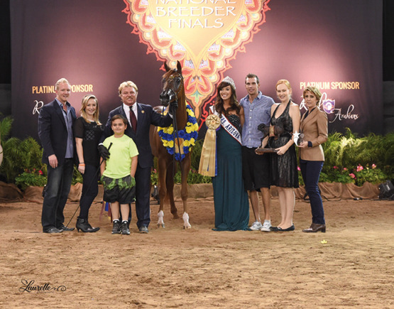 THE 2015 ARABIAN NATIONAL BREEDER FINALS