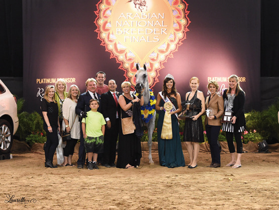 THE 2015 ARABIAN NATIONAL BREEDER FINALS