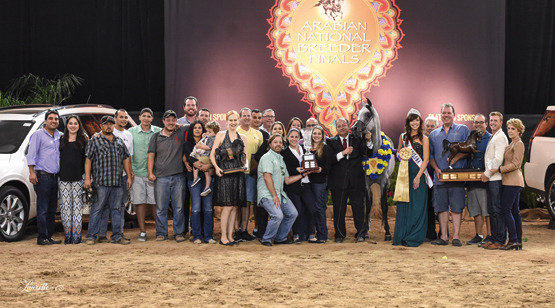 THE 2015 ARABIAN NATIONAL BREEDER FINALS