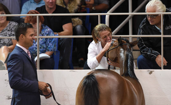 THE 2015 ARABIAN NATIONAL BREEDER FINALS