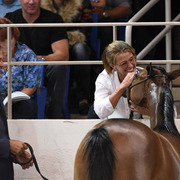 THE 2015 ARABIAN NATIONAL BREEDER FINALS