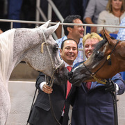 THE 2015 ARABIAN NATIONAL BREEDER FINALS