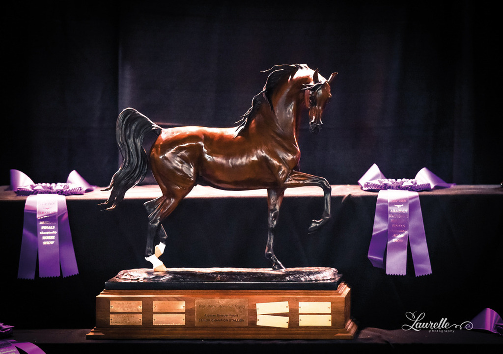 THE 2015 ARABIAN NATIONAL BREEDER FINALS