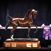 THE 2015 ARABIAN NATIONAL BREEDER FINALS