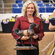 THE 2015 ARABIAN NATIONAL BREEDER FINALS