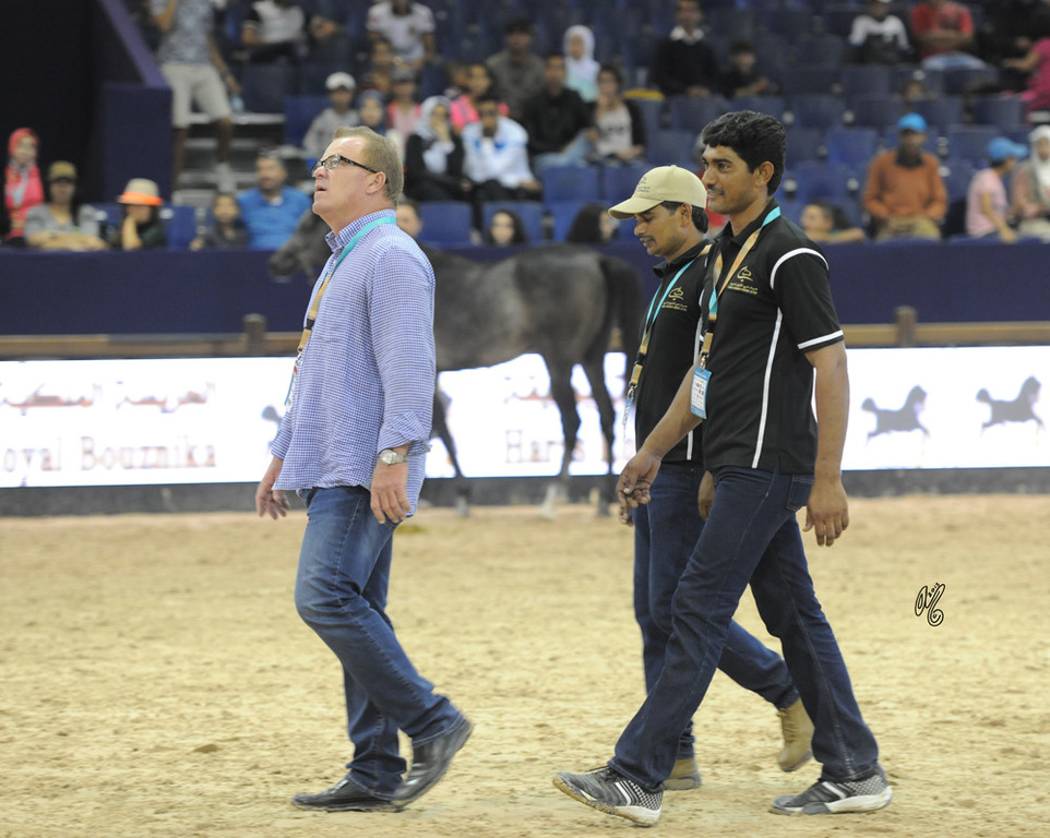 The 2015 International Arabian Horse Show: Morocco
