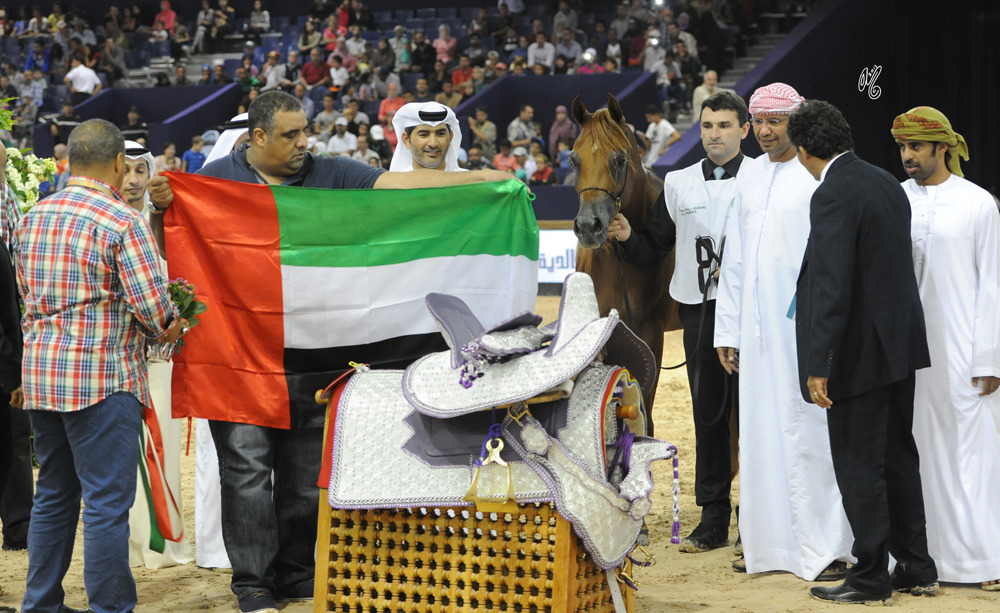 Junior Stallion Gold Champion AJ Marzan (AJ Portofino X HED AB Maria)
