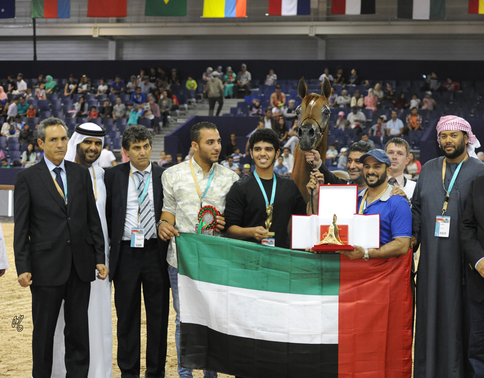 Senior Mare Silver Champion Clarissima (Esparto X Calineczka)