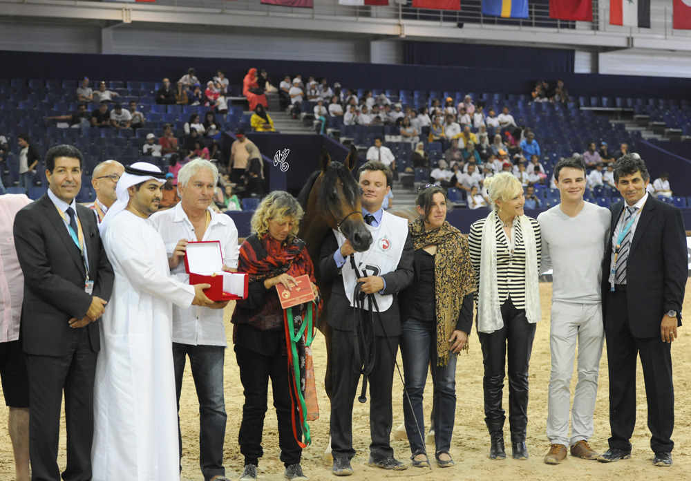 Yearling Colt Bronze Champion Jawen Aslal (ZT Marwteyn X Just Adore)