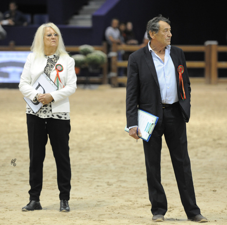 The 2015 panel of Judges