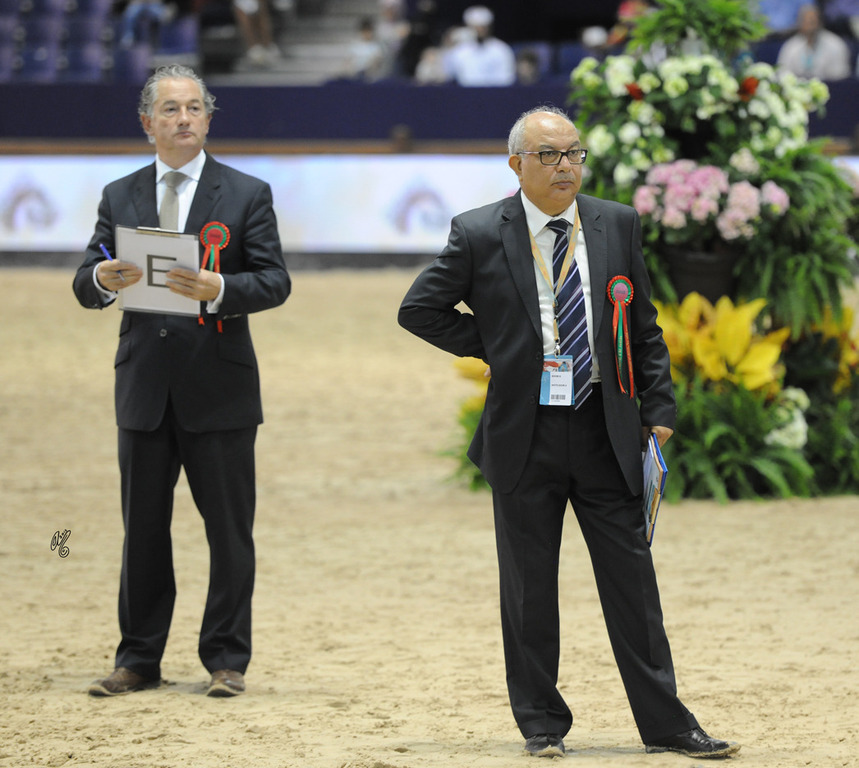 The 2015 panel of Judges