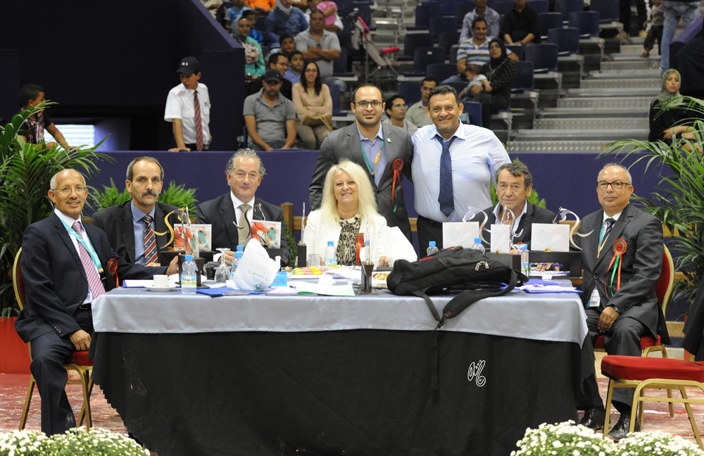 The 2015 panel of Judges