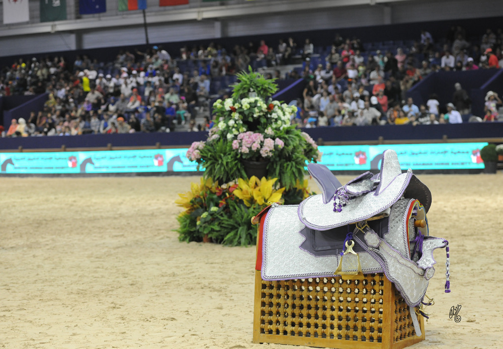 The 2015 International Arabian Horse Show Championships