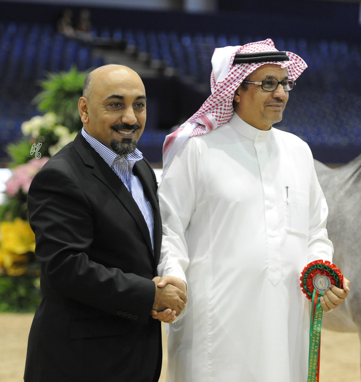 The 2015 International Arabian Horse Show: Morocco