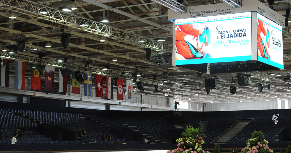 The 2015 International Arabian Horse Show Classes