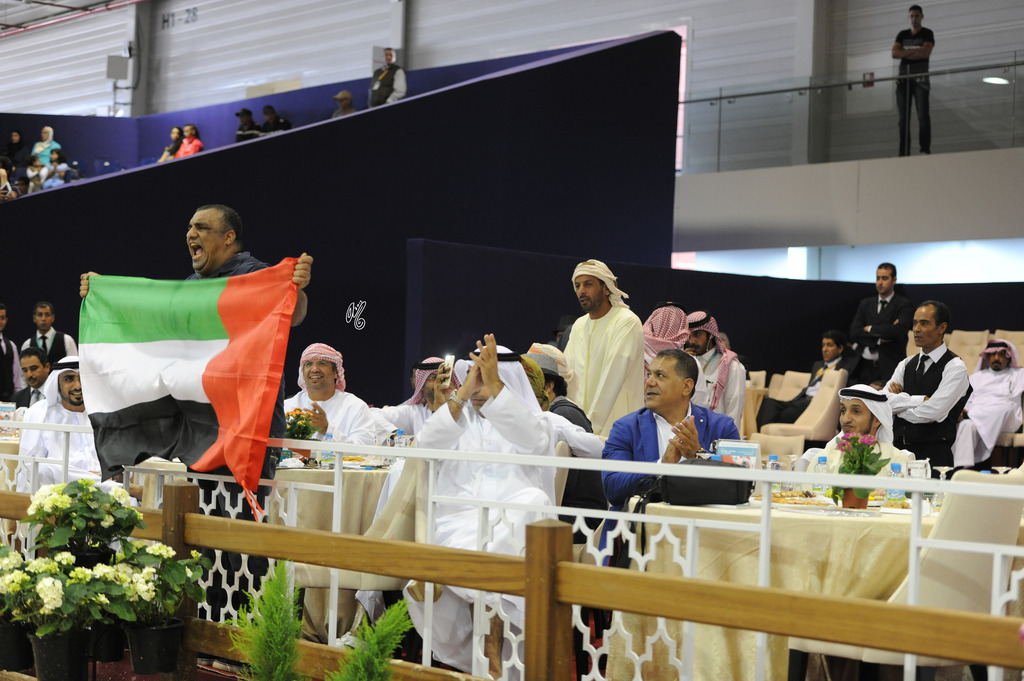 Welcome to the 2015 International Arabian Horse Show at the Salon Du Cheval D’El Jadida