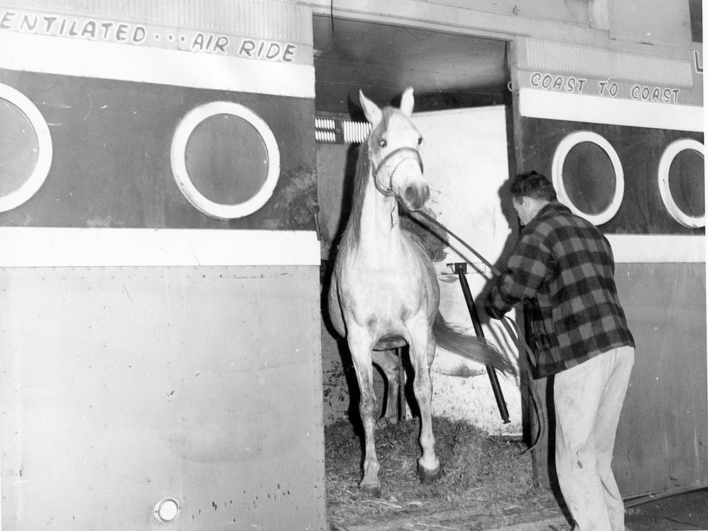 When Naganka First Stepped Onto the Varian Ranch