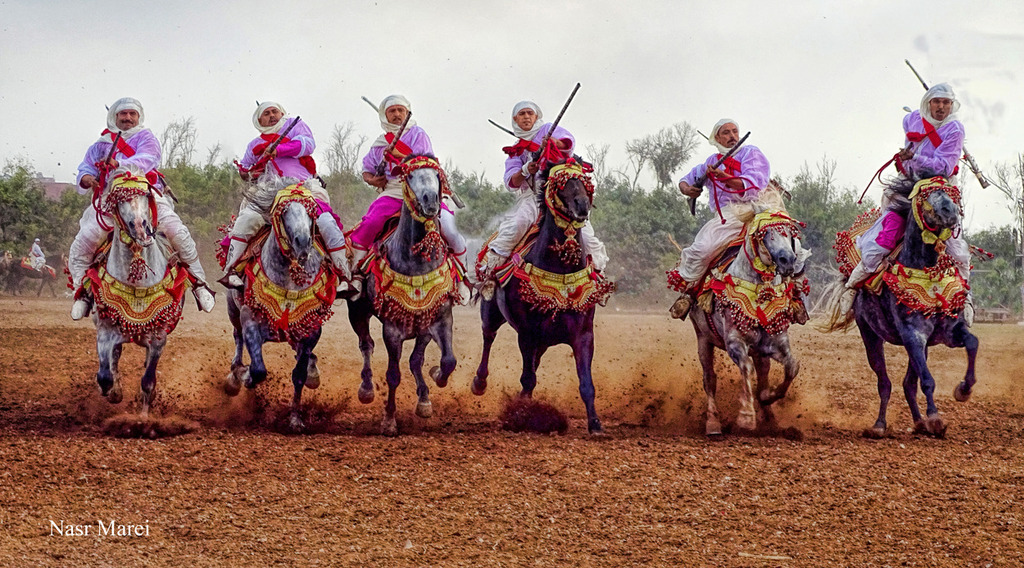 Dr. Nasr Marei: Tbourida Photos by Dr. Nasr Marei