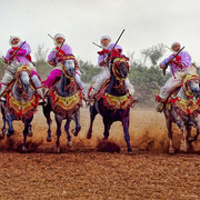 Dr. Nasr Marei: Tbourida Photos by Dr. Nasr Marei