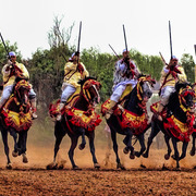 Dr. Nasr Marei: Tbourida Photos by Dr. Nasr Marei