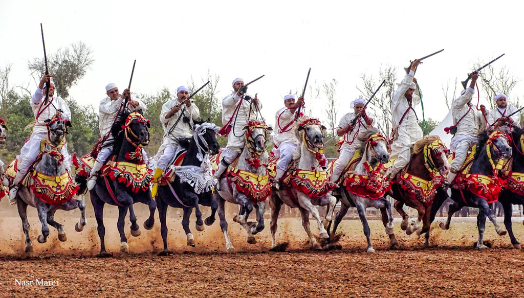 Dr. Nasr Marei: Tbourida Photos by Dr. Nasr Marei