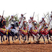 Dr. Nasr Marei: Tbourida Photos by Dr. Nasr Marei
