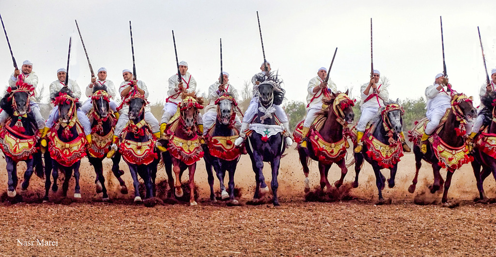 Dr. Nasr Marei: Tbourida Photos by Dr. Nasr Marei