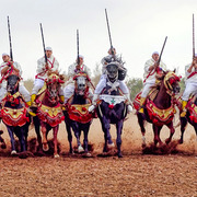 Dr. Nasr Marei: Tbourida Photos by Dr. Nasr Marei