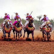 Dr. Nasr Marei: Tbourida Photos by Dr. Nasr Marei