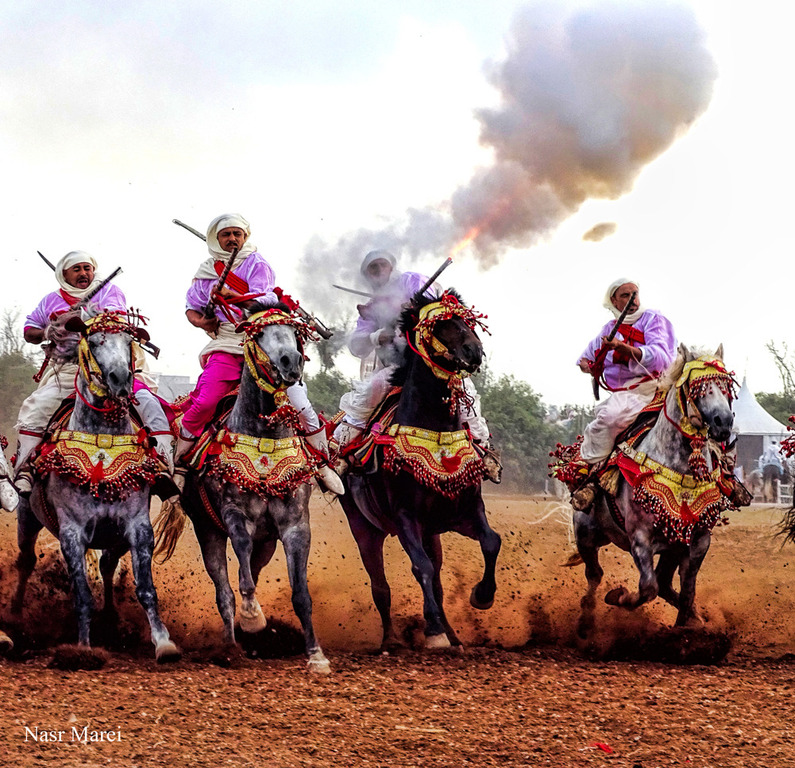 Dr. Nasr Marei: Tbourida Photos by Dr. Nasr Marei