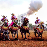 Dr. Nasr Marei: Tbourida Photos by Dr. Nasr Marei