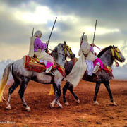 Dr. Nasr Marei: Tbourida Photos by Dr. Nasr Marei