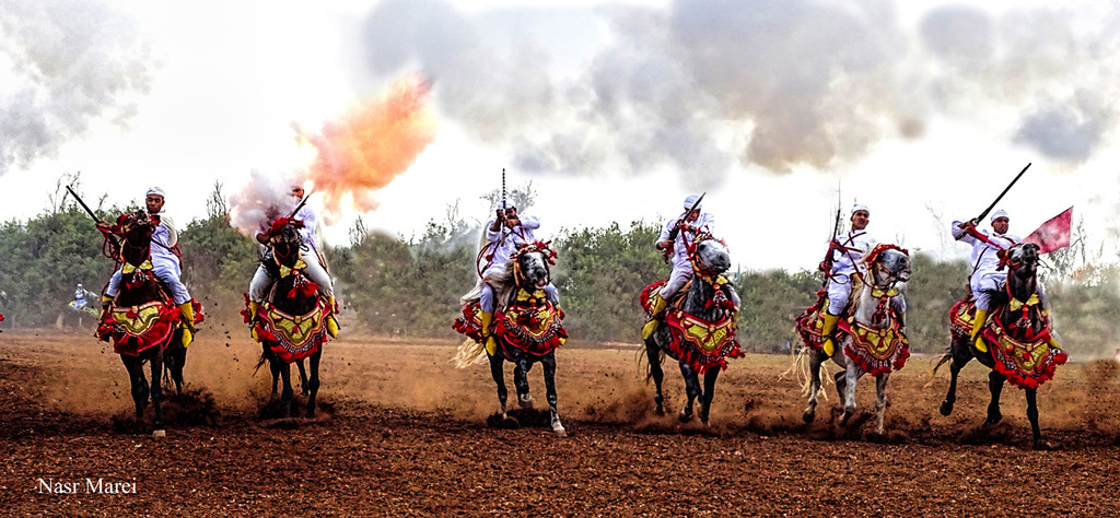 Dr. Nasr Marei: Tbourida Photos by Dr. Nasr Marei