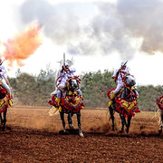 Dr. Nasr Marei: Tbourida Photos by Dr. Nasr Marei