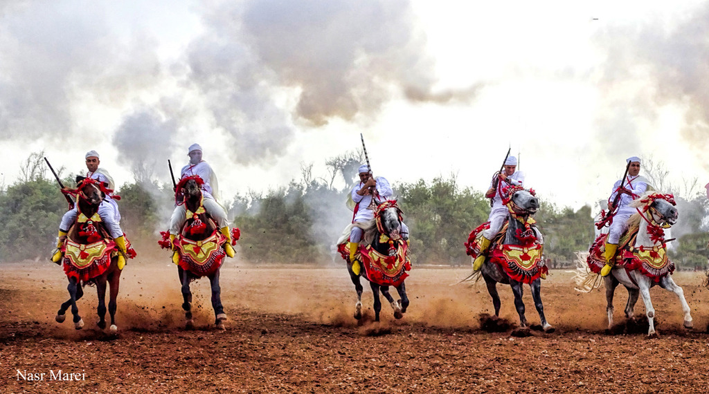 Dr. Nasr Marei: Tbourida Photos by Dr. Nasr Marei