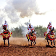 Dr. Nasr Marei: Tbourida Photos by Dr. Nasr Marei