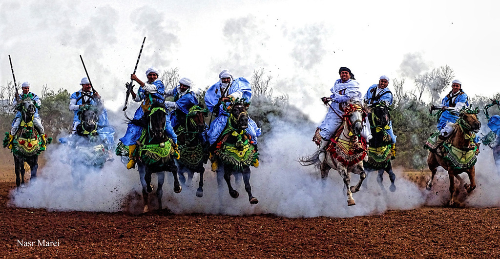 Dr. Nasr Marei: Tbourida Photos by Dr. Nasr Marei