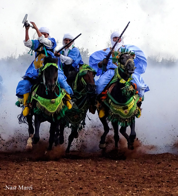 Dr. Nasr Marei: Tbourida Photos by Dr. Nasr Marei