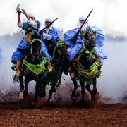 Dr. Nasr Marei: Tbourida Photos by Dr. Nasr Marei