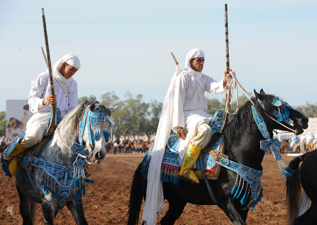 Lisa Abraham: Tbourida Photos by Lisa Abraham 