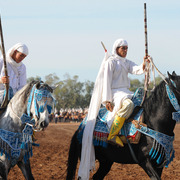 Lisa Abraham: Tbourida Photos by Lisa Abraham 