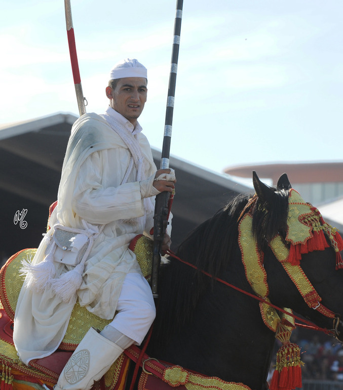 Lisa Abraham: Tbourida Photos by Lisa Abraham 