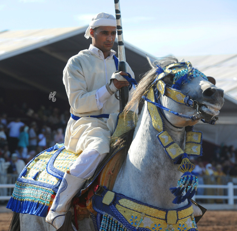 Lisa Abraham: Tbourida Photos by Lisa Abraham 