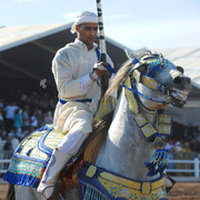 Lisa Abraham: Tbourida Photos by Lisa Abraham 