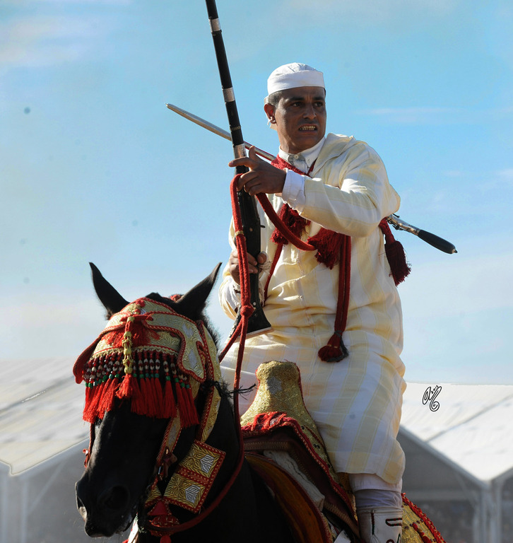 Lisa Abraham: Tbourida Photos by Lisa Abraham 