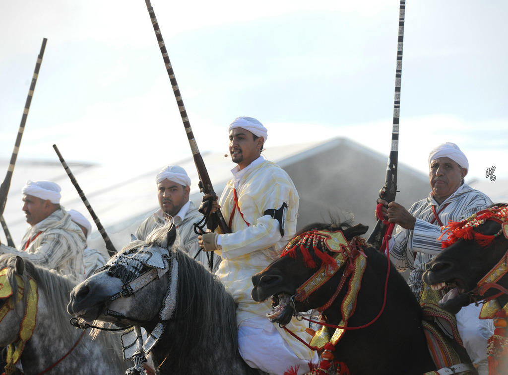 Lisa Abraham: Tbourida Photos by Lisa Abraham 