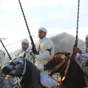 Lisa Abraham: Tbourida Photos by Lisa Abraham 