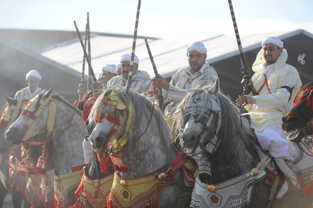 Lisa Abraham: Tbourida Photos by Lisa Abraham 